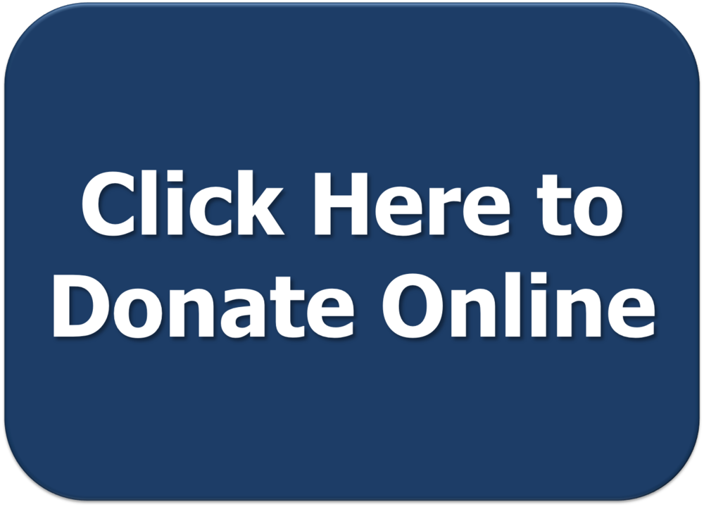 donate button1